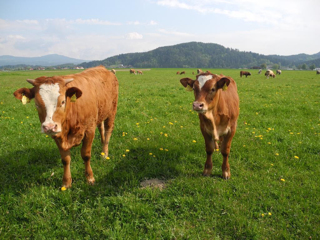 Ferienwohnung Sima Velden am Wörthersee Exteriör bild